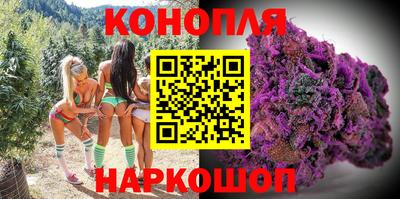 apvp Ростов-на-Дону
