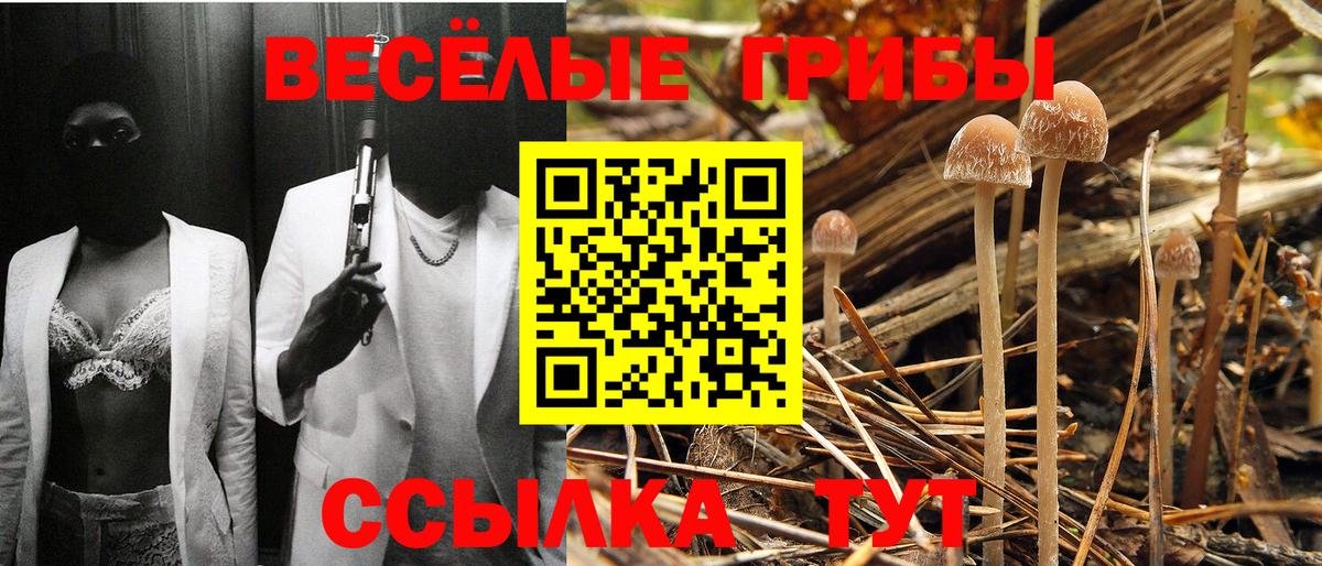 Псилоцибиновые грибы Cubensis Донецк