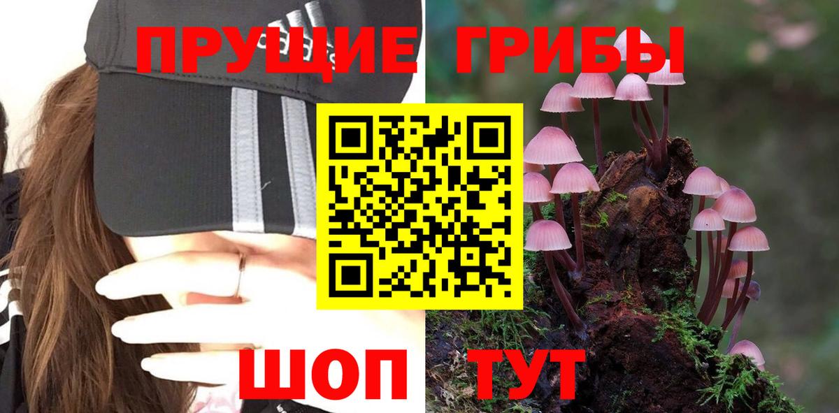 Донецк  Галлюциногенные грибы Psilocybe  Вход с VPN 